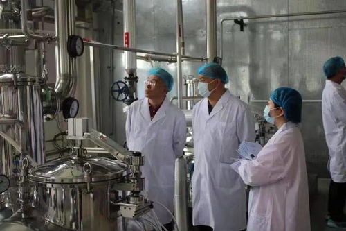 同仁堂興安灤南分公司順利通過保健食品生產許可現場核查，生物制藥研發生產再添新翼